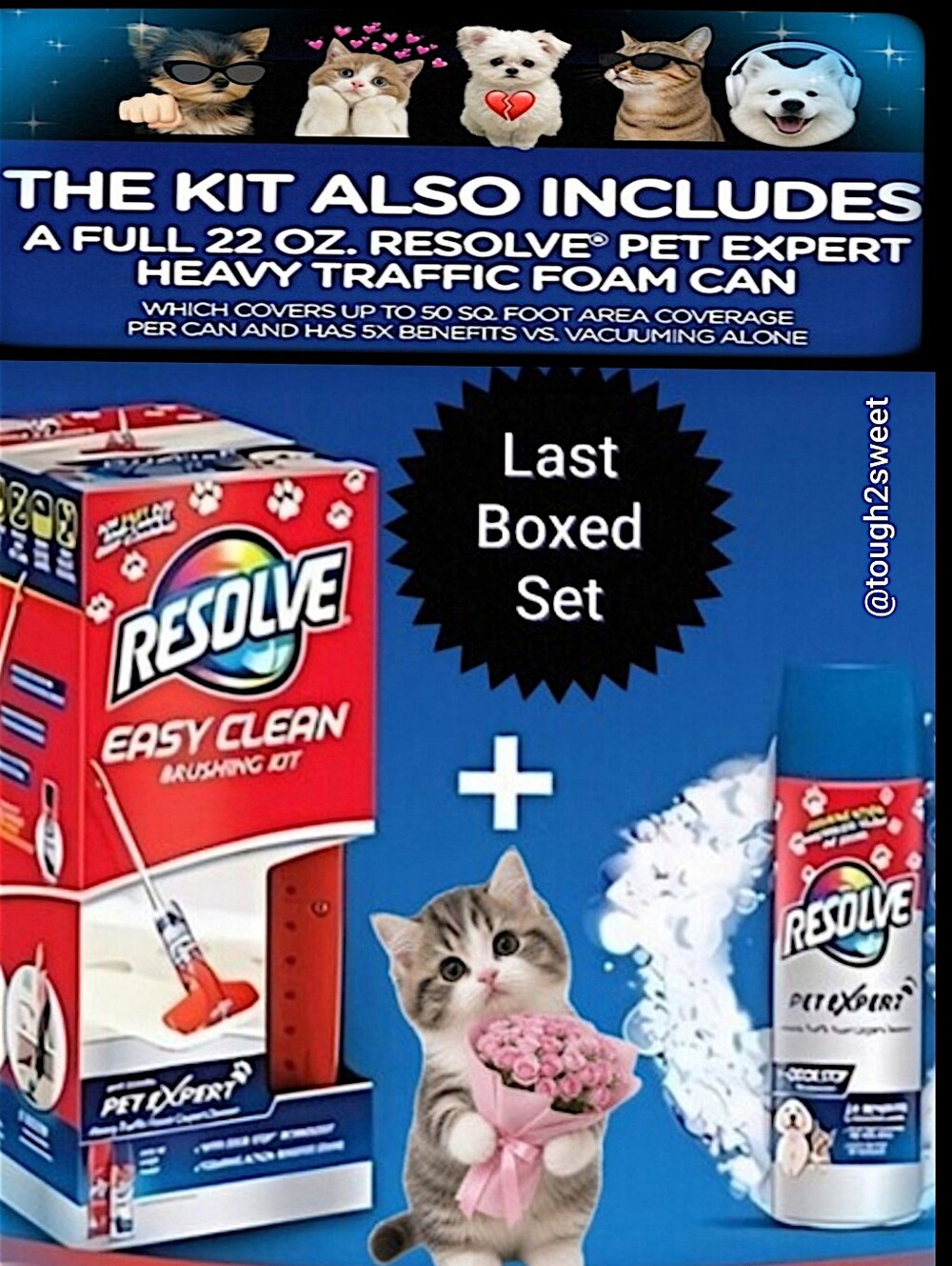 🆕RESOLVE® PET SPECIALIST EASY CLEAN COMPLETE BRUSHING KIT WITH 22OZ CAN IN BOX